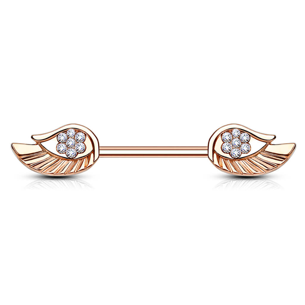 Piercing Capezzolo Ali con zirconi