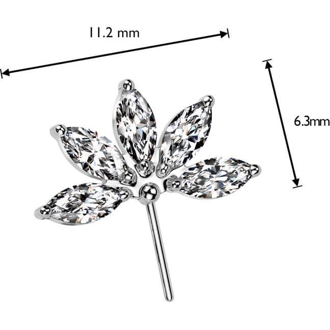 Titane Embout Fleur taillée marquise zircon Enfoncer