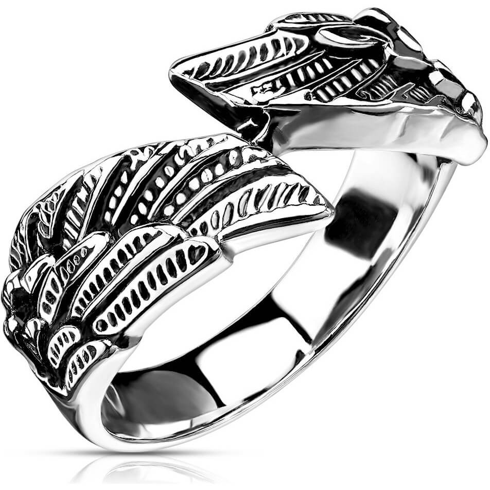 Alas de Ángel Plata