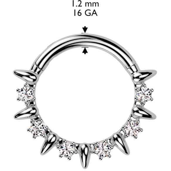 Ring zirconias Segment