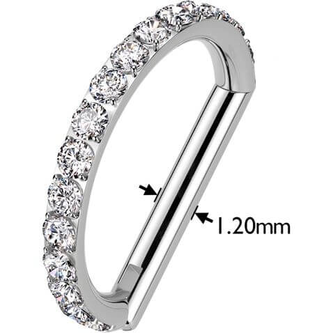 Titan Ring Zirkonia Segment