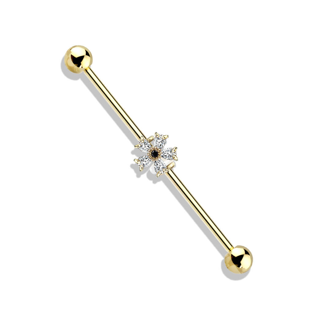 Industrial Barbell Blume Zirkonia