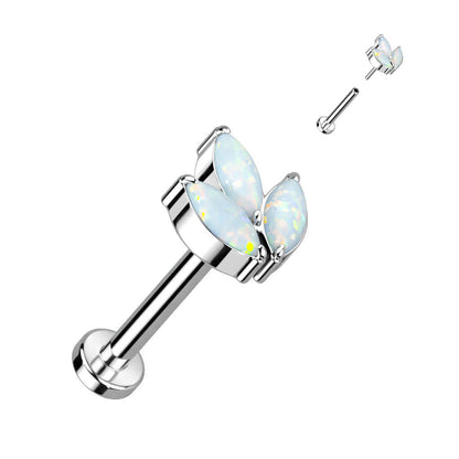 Titane Labret Marquise Zircone Enfoncer