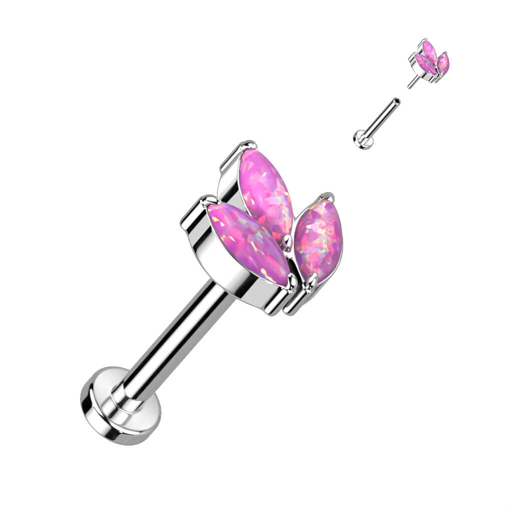 Titane Labret Marquise Zircone Enfoncer