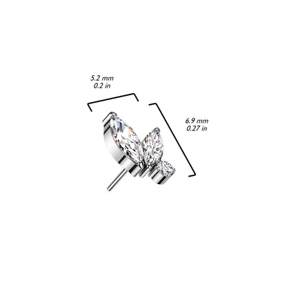 Titane Embout Embout Zircone Enfoncer