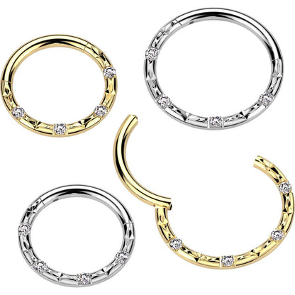 Titan Ring 4 Zirkonia Facettenschliffe Segment 