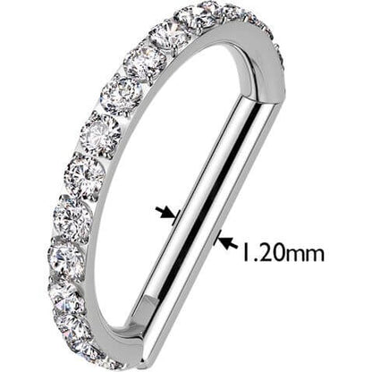 Titanium Ring zirconia Segment