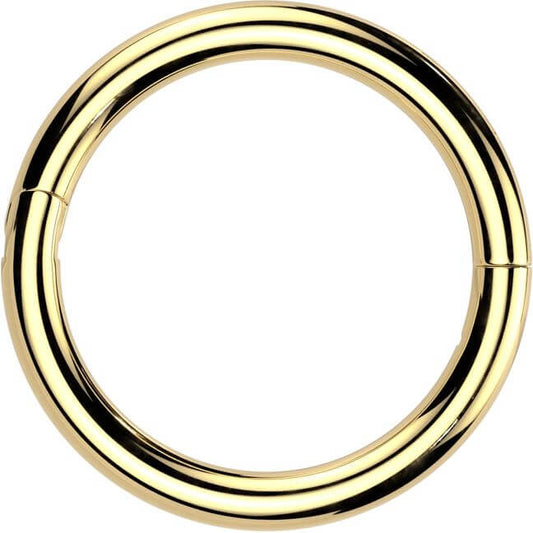 Titanio Anillo universal Segment