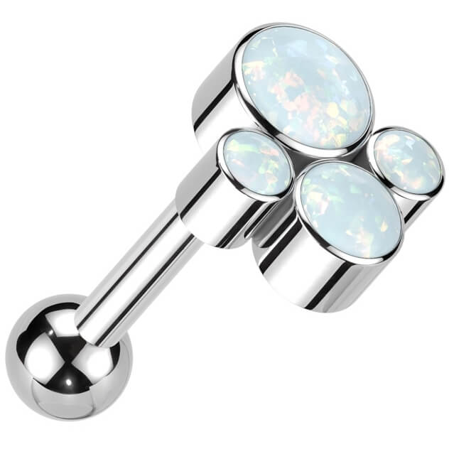 Titan Barbell Opal Zargenfassung Innengewinde