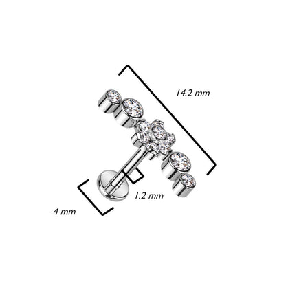 Titanio Labret Argento e fiore di zirconi Filettatura Interna
