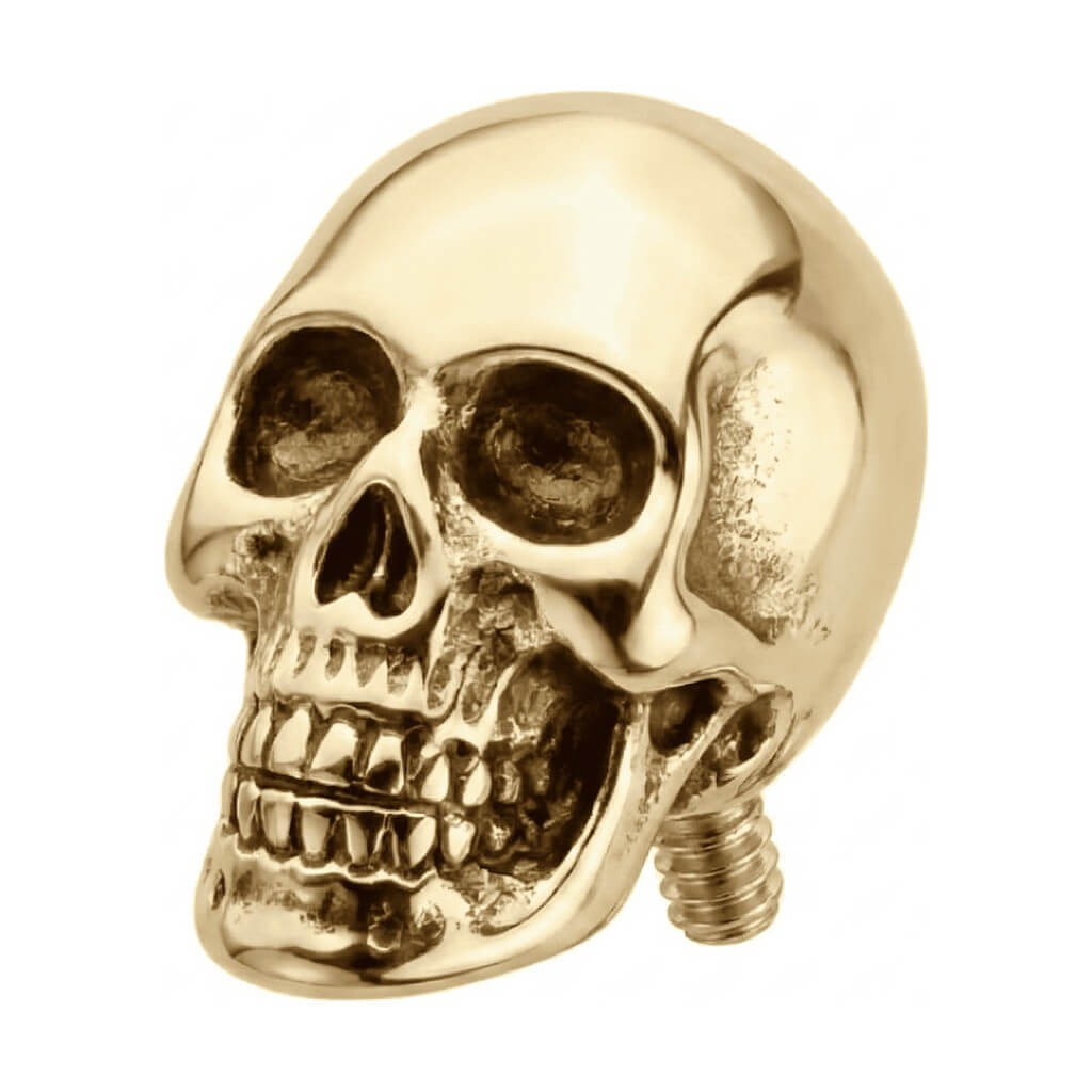 Titanium Top Anatomical Human Skull Internally Threaded
